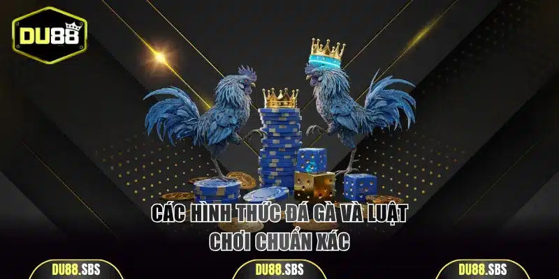 Các hình thức đá gà và luật chơi chuẩn xác