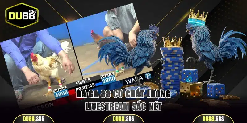 ĐÁ GÀ 88 có chất lượng livestream sắc nét